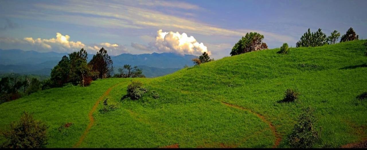 Secret Staycation Nature Cottages Kandaghat ภายนอก รูปภาพ